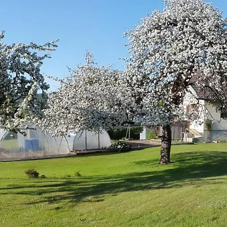 Les Jumeaux Habitación en casa particular