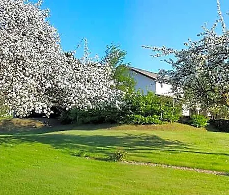 Les Jumeaux * Granges-sur-Vologne