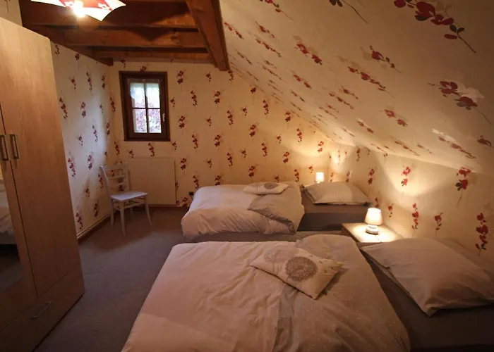 Séjour chez l'habitant Les Jumeaux *