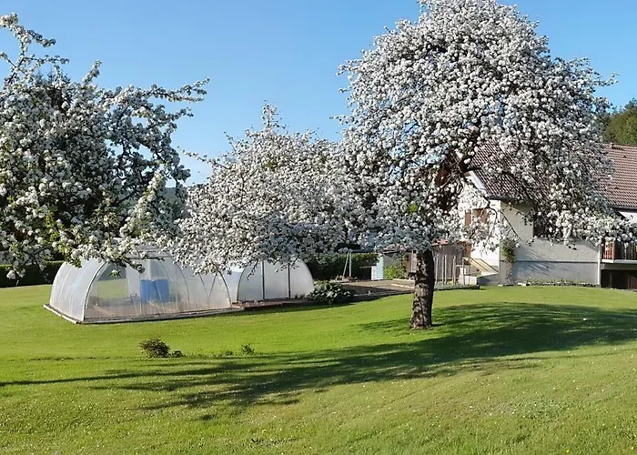 Les Jumeaux * Granges-sur-Vologne